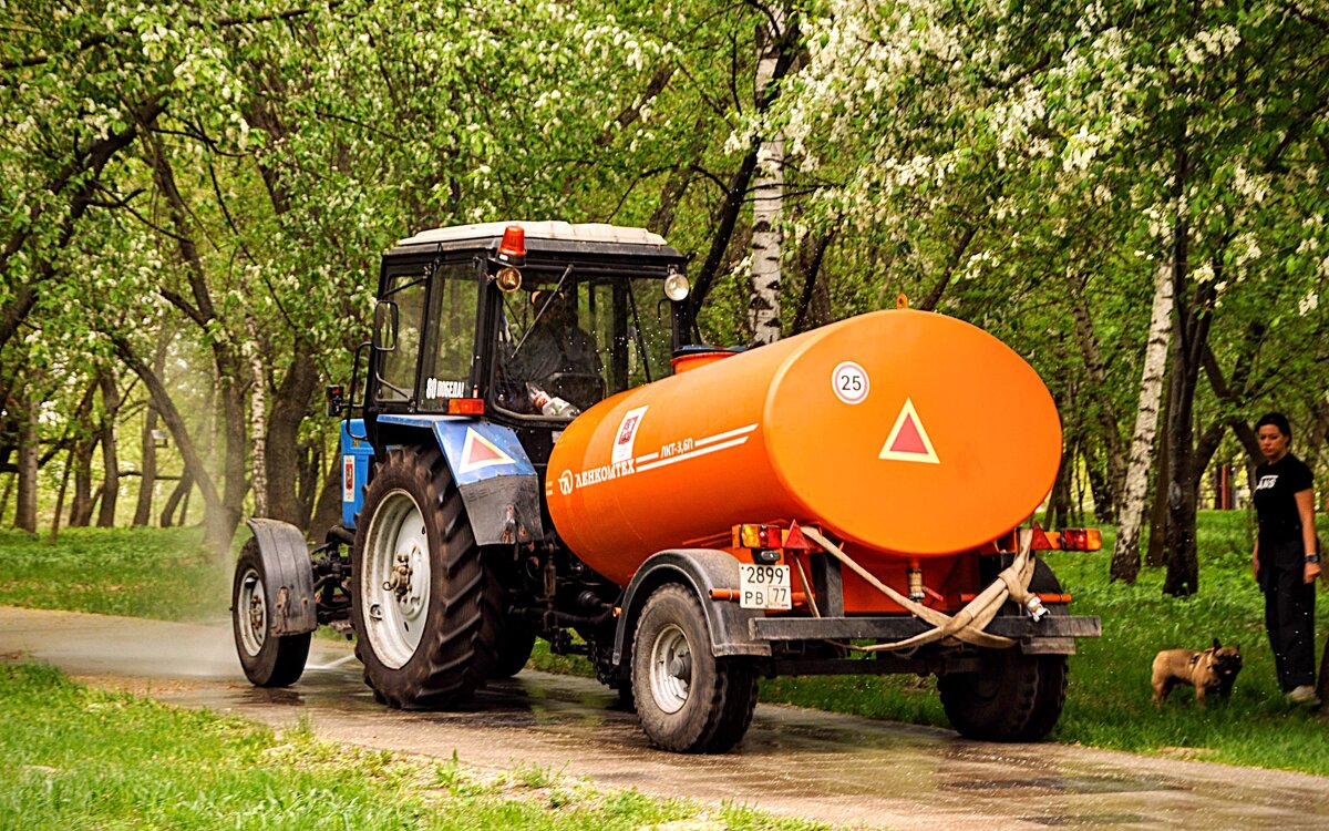 За пару часов до кромешного ливня,,,не ждали,,,) - Анатолий Колосов