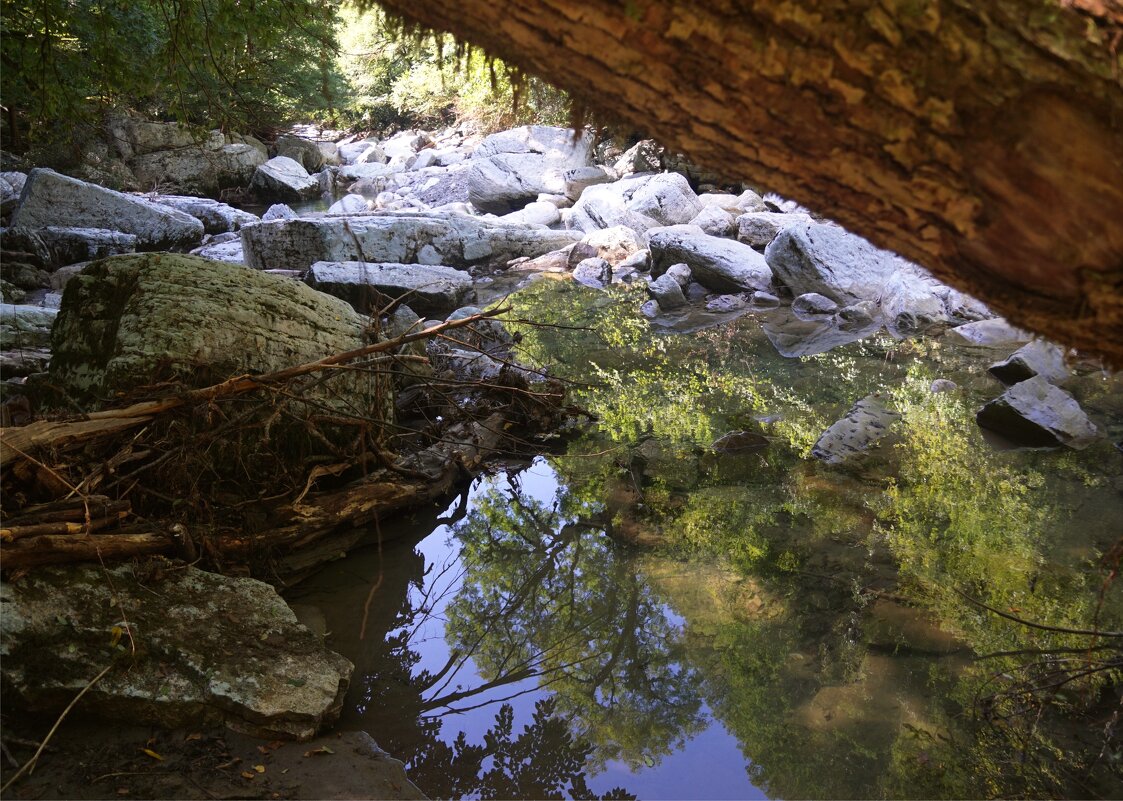 Река Хоста - Наталия Григорьева