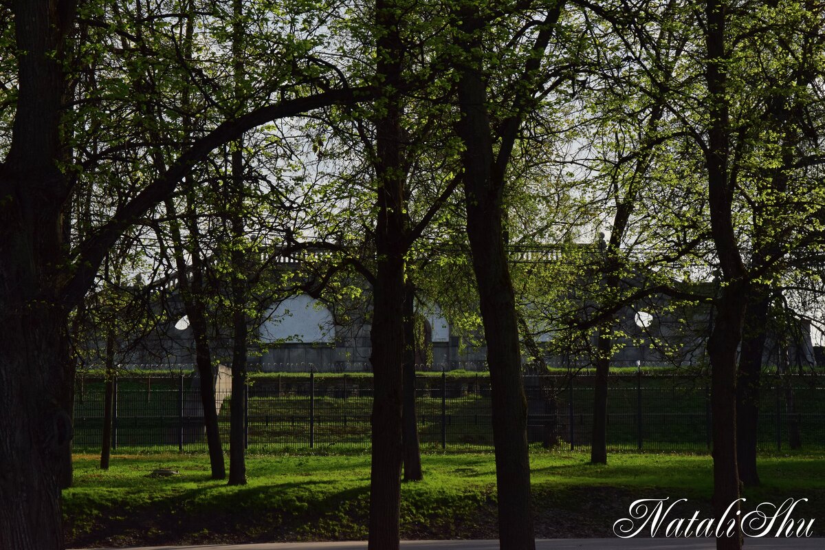 *** - Наталья Вязигина