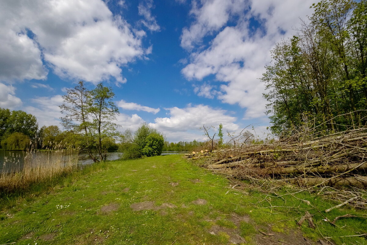 В конце апреля... - Николай Гирш