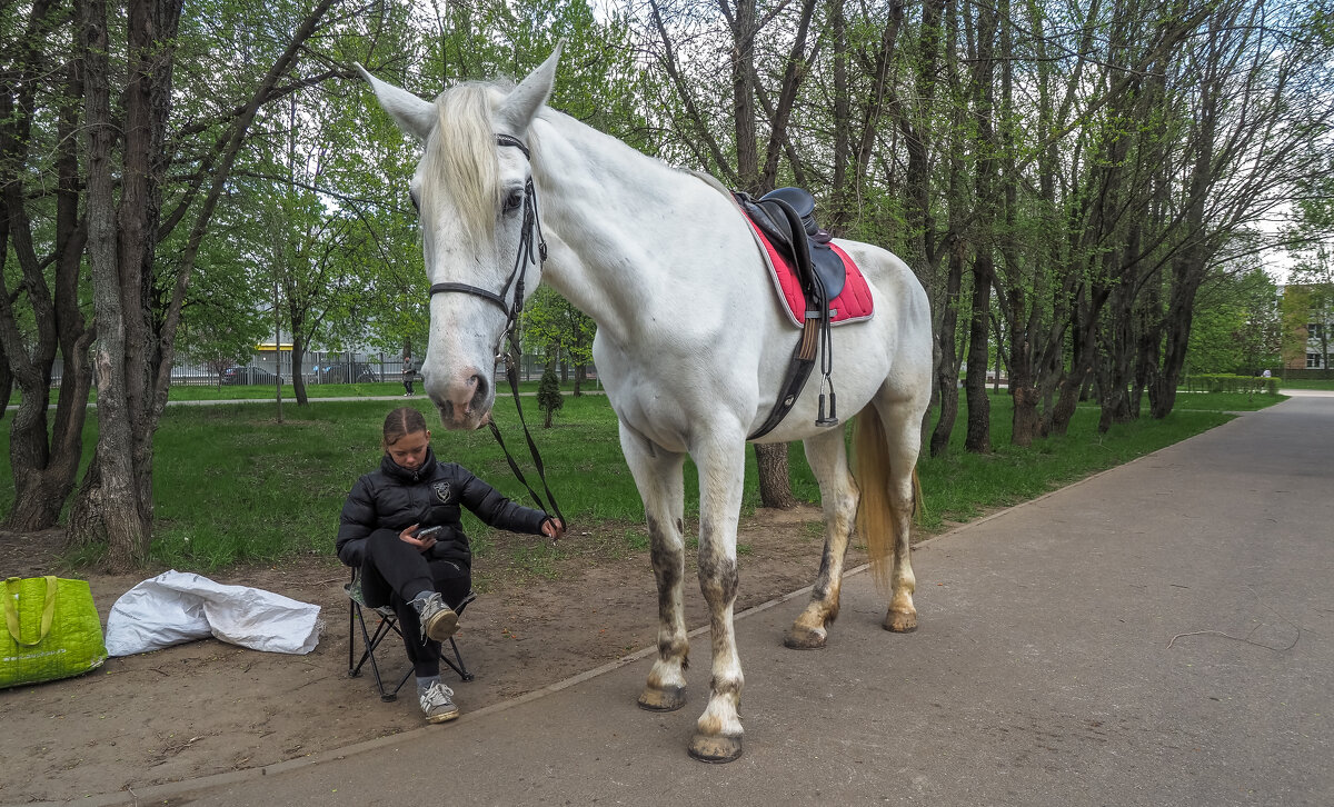 Поджидая Седока - юрий поляков