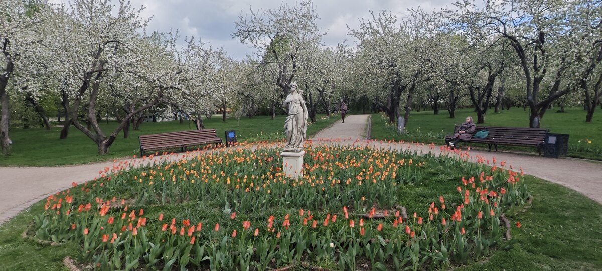 Коломенское - <<< Наташа >>> Коломенское - <<< Наташа >>>