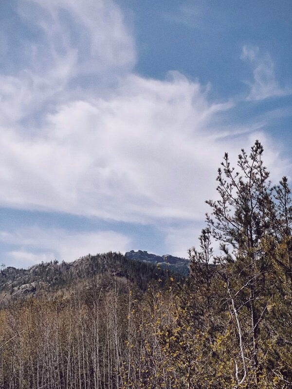 Облака в апреле - Георгиевич 