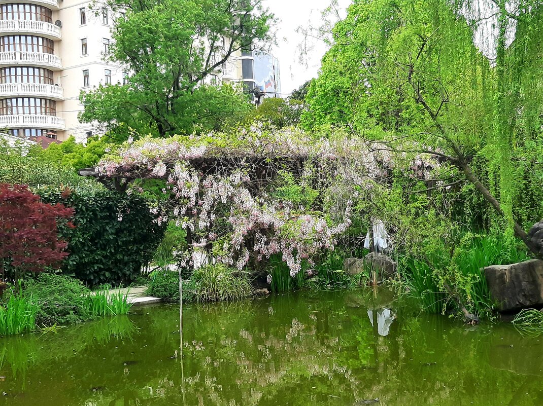 Черепаховое озеро - Tata Wolf