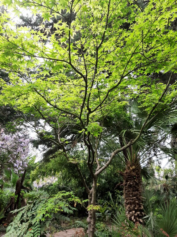 Театральный сквер! - Tata Wolf