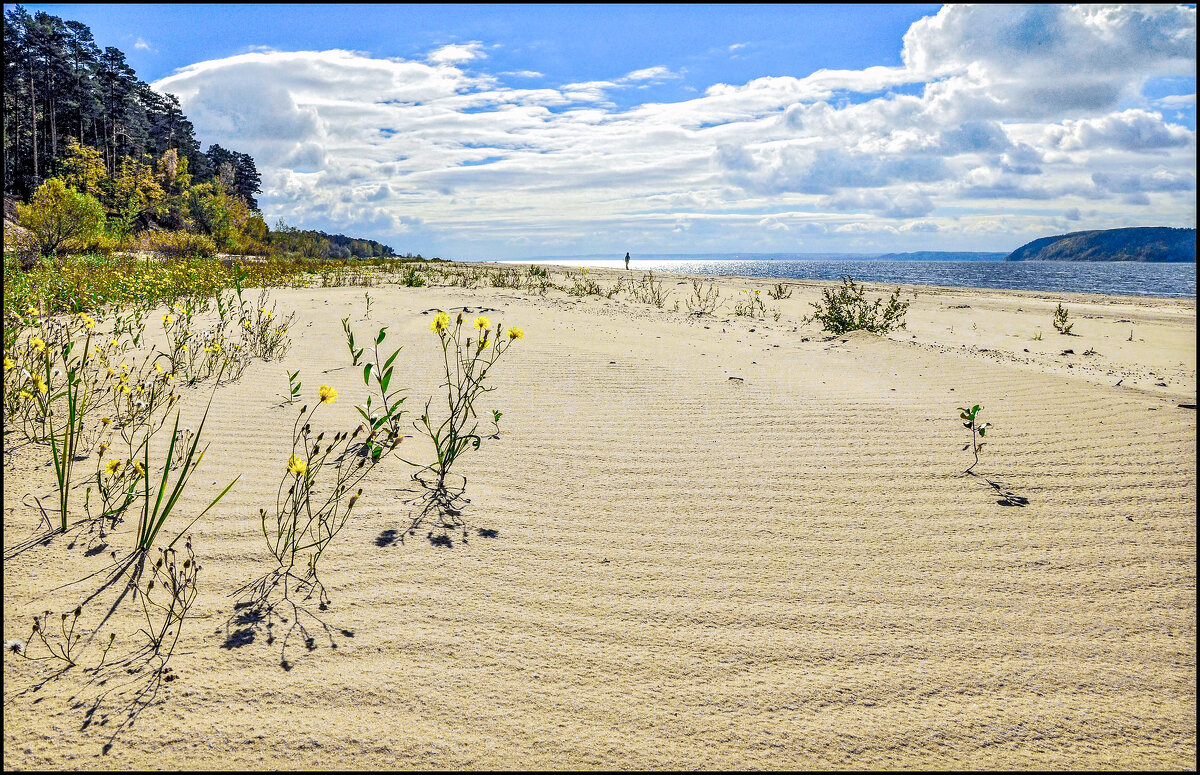 Бабье лето - **** vedin