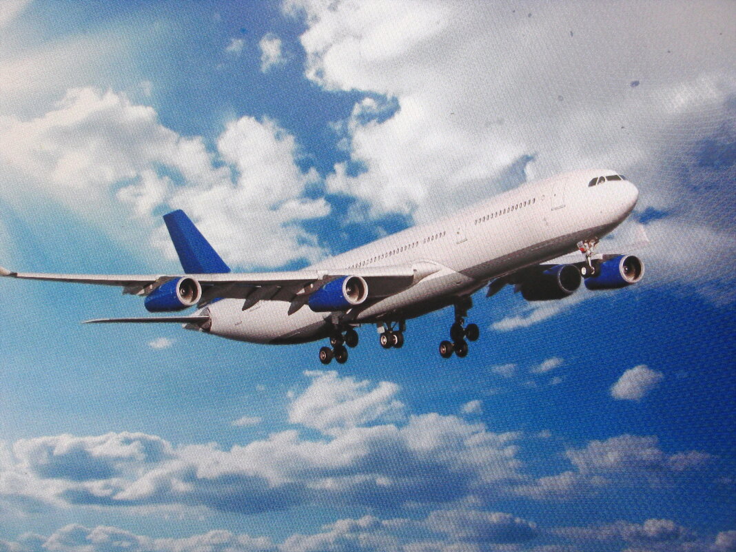 В полёте - Людмила Смородинская В полёте - Людмила Смородинская