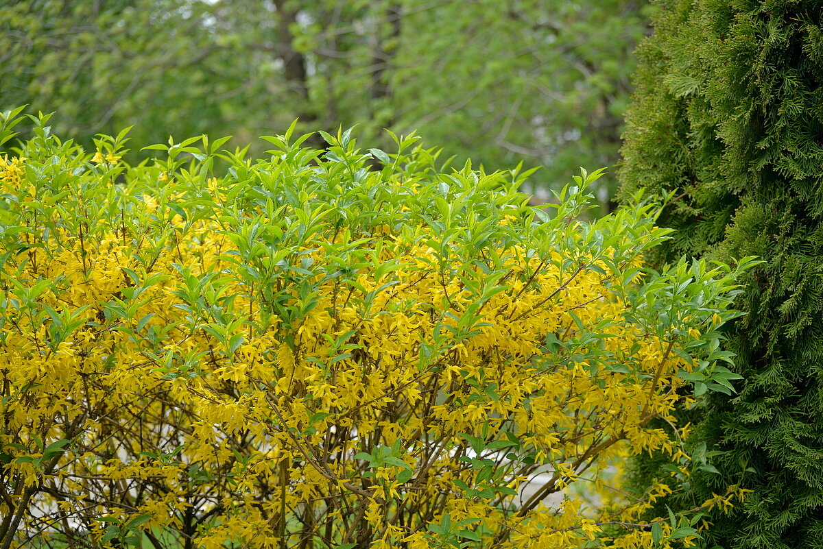 Переход на летний - Сеня Белгородский