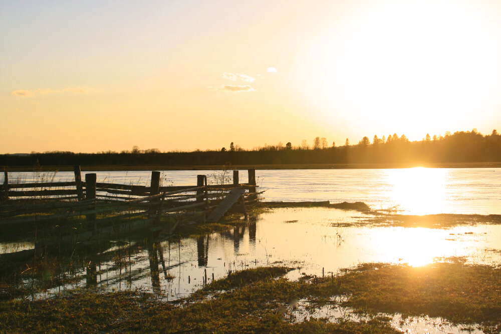 Весенний разлив - Галина Ильясова Весенний разлив - Галина Ильясова