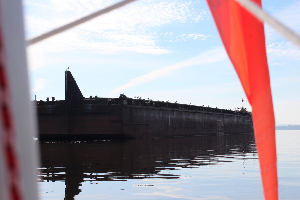 Птичья баржа - Марсель Валеев