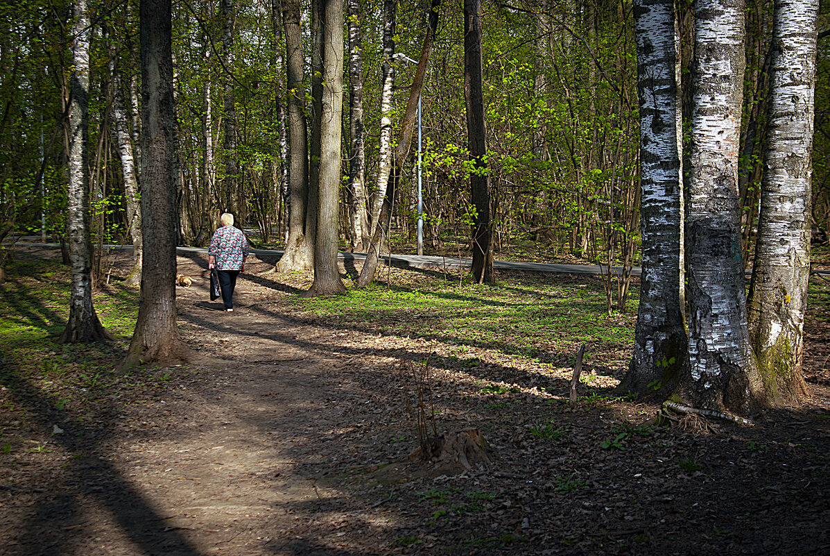 Весна в лесопарке - Владимир Кроливец Весна в лесопарке - Владимир Кроливец