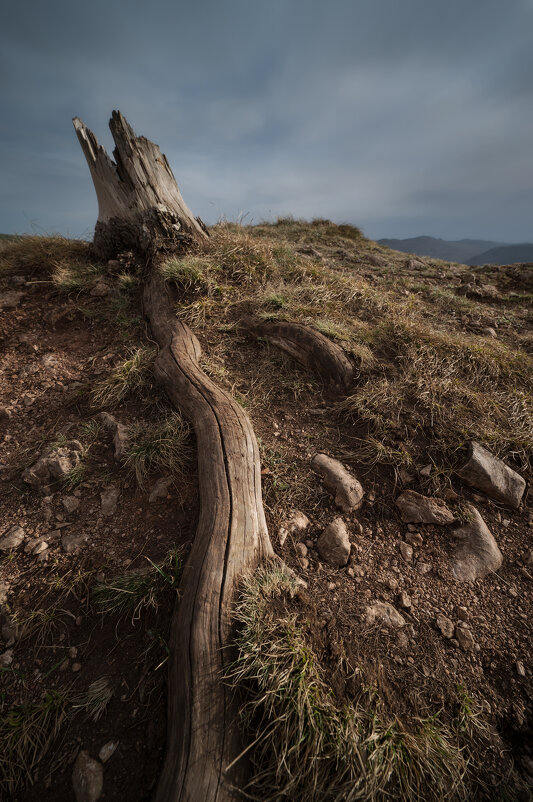 * - Александр Иванов * - Александр Иванов
