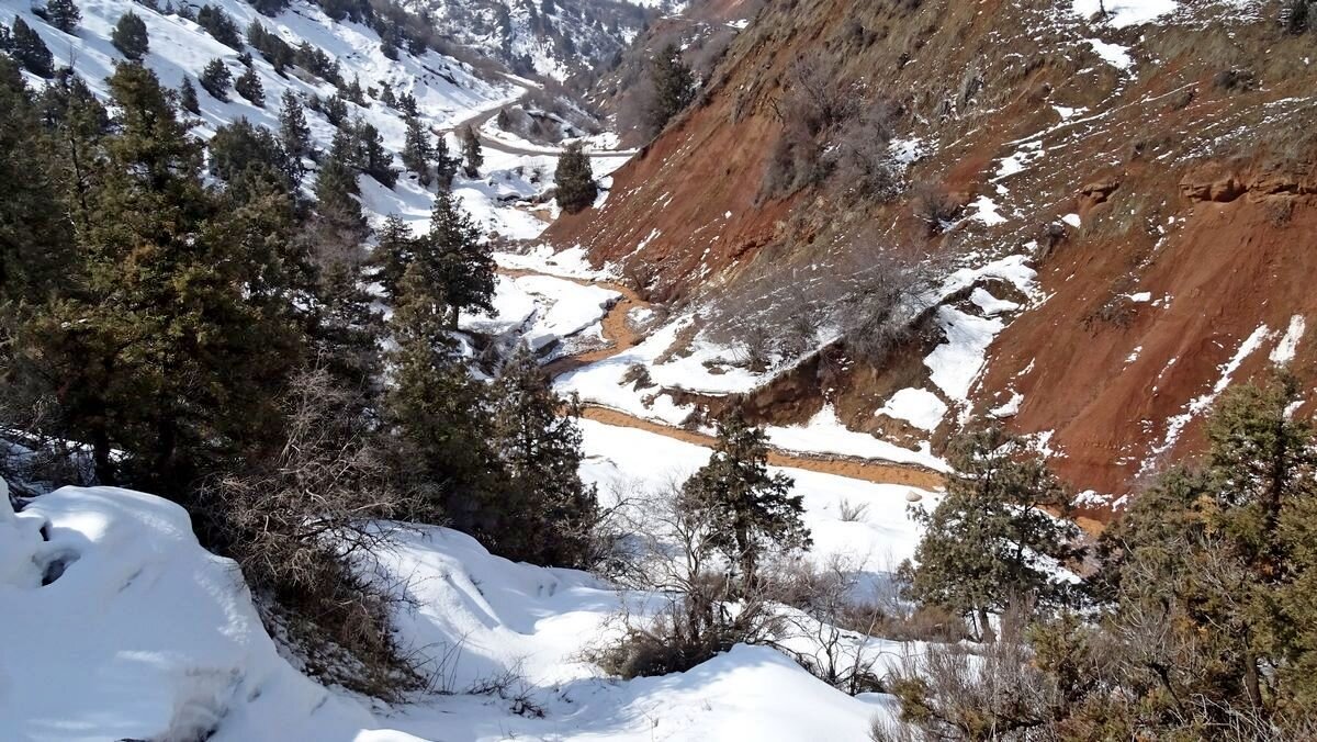 ЗИМНЯЯ ПРОГУЛКА. - Виктор Осипчук