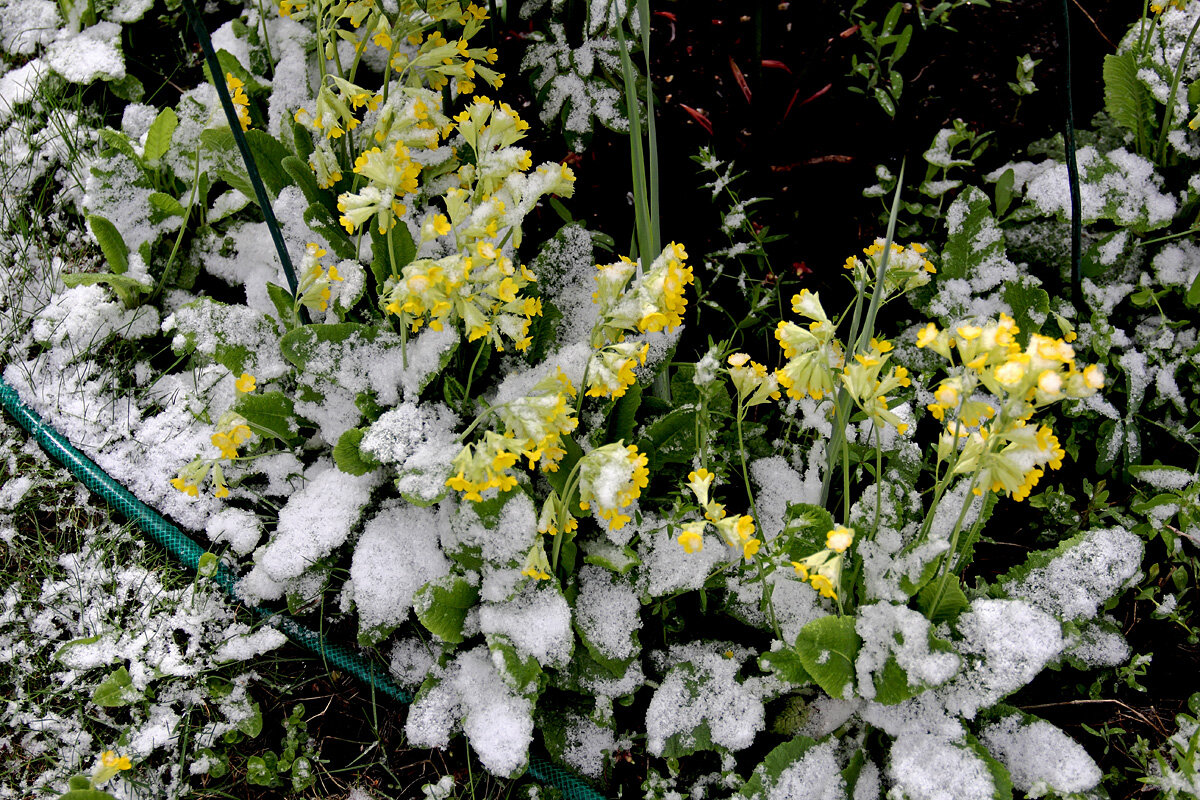 Зима в апреле. Самара. 28.04.25 - MILAV V