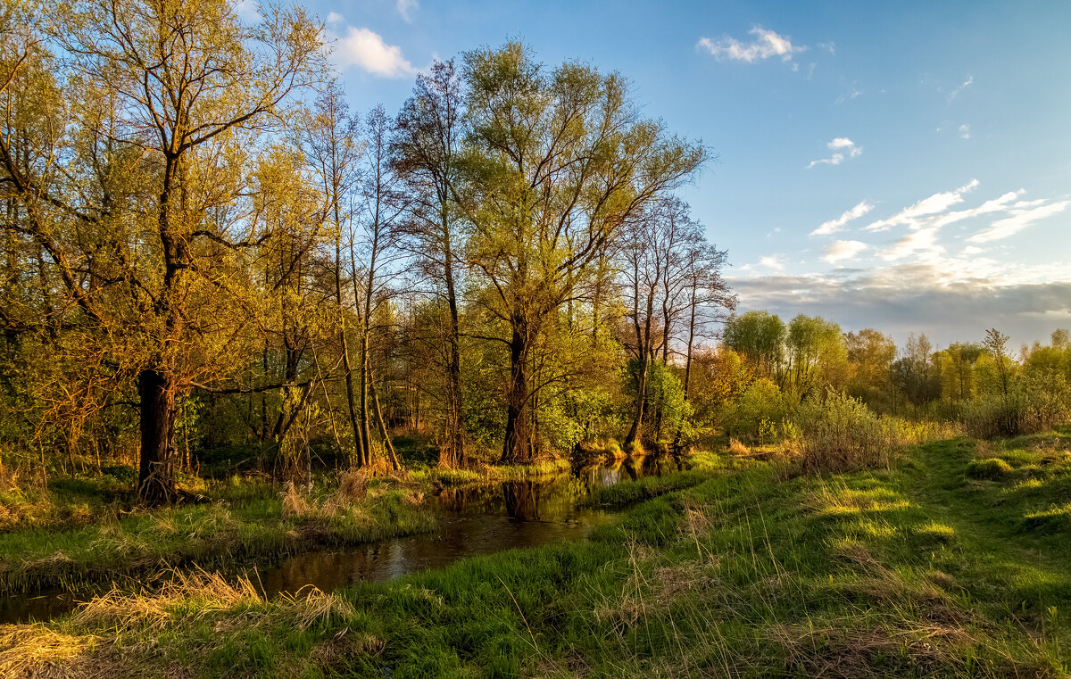 Весенний вечер 3 - Андрей Дворников