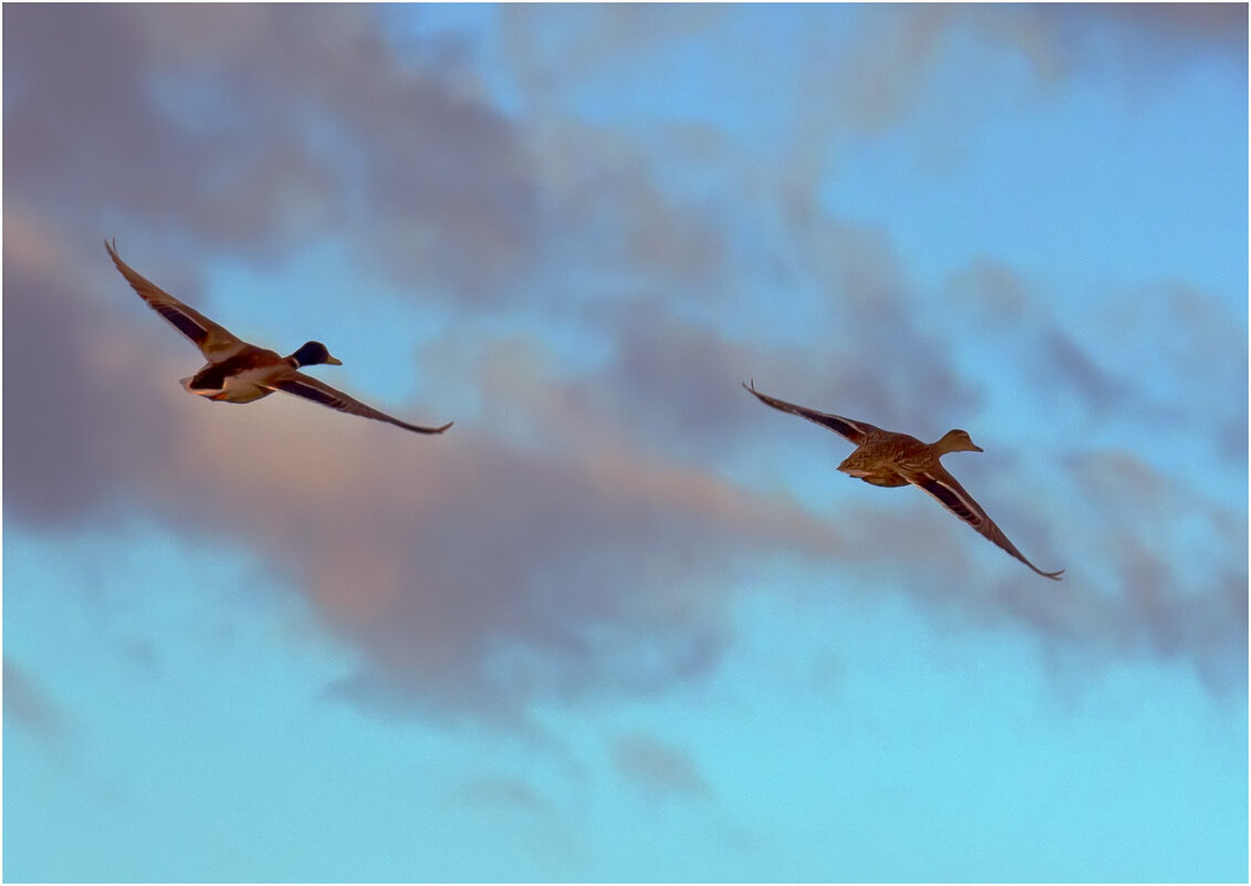 На крыльях Любви - Валентин Котляров