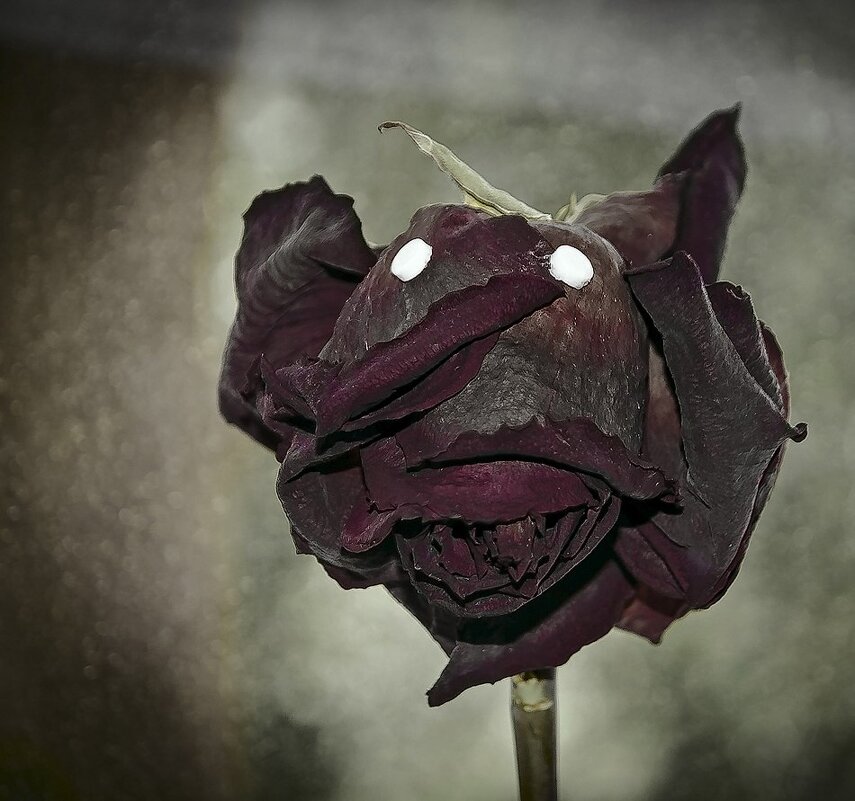 Чубысь - мелкопакостный домовой - Петр Фролов