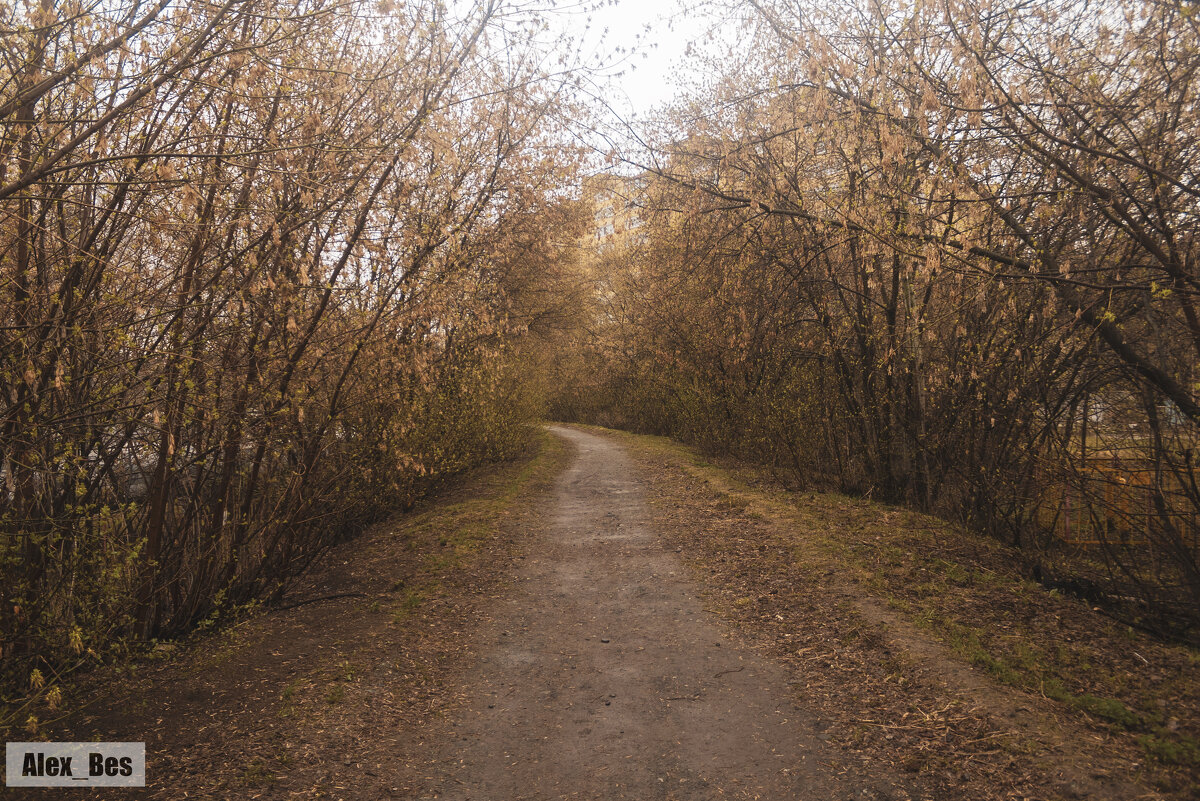 №126 - Alex Bes №126 - Alex Bes