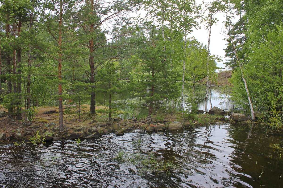 Тихий и уютный - Владимир Соколов (svladmir)