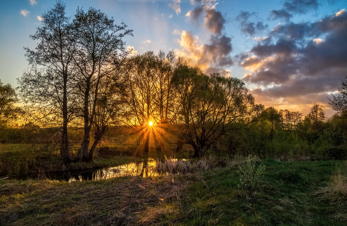 Весенний вечер 4 - Андрей Дворников Весенний вечер 4 - Андрей Дворников
