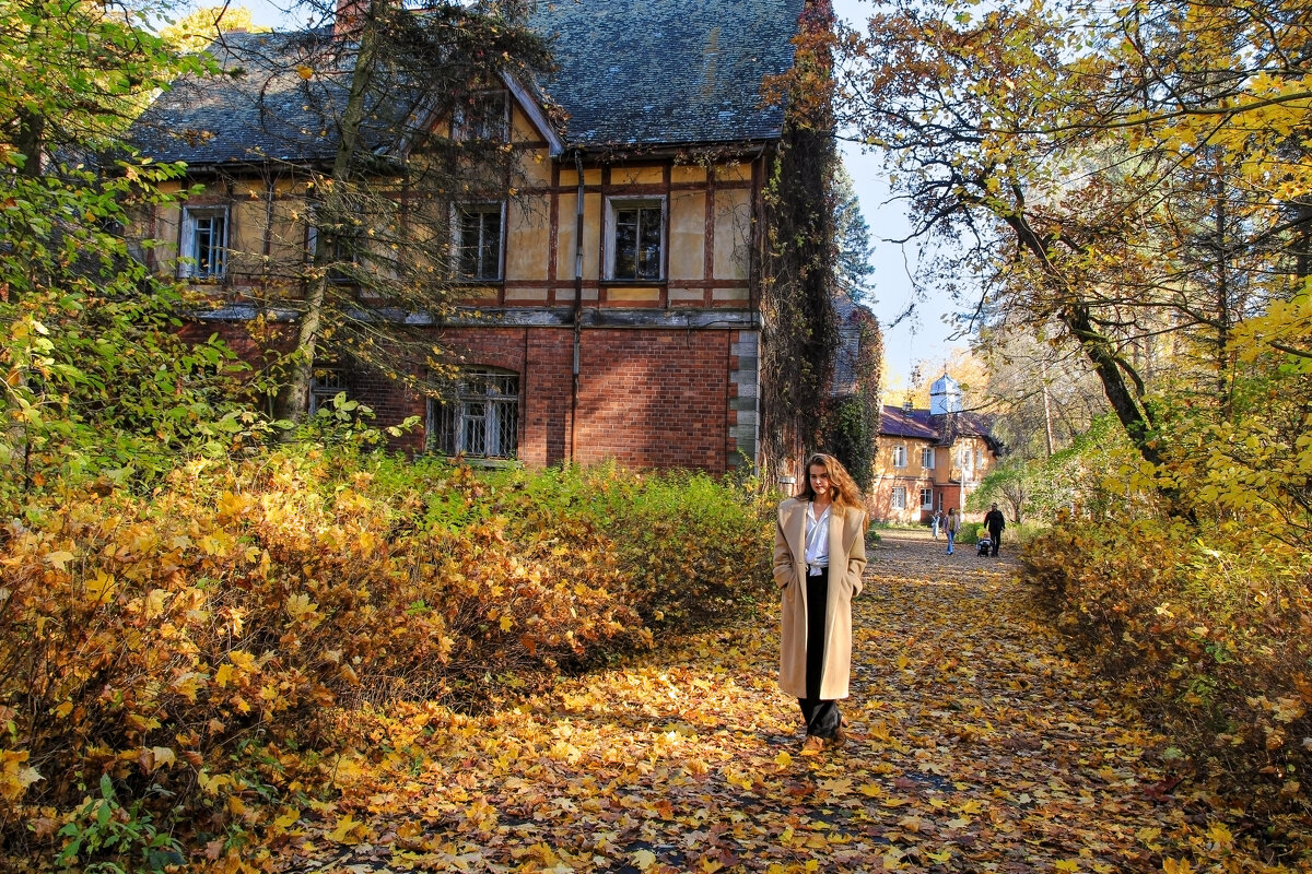 Пушкин - skijumper Иванов Пушкин - skijumper Иванов