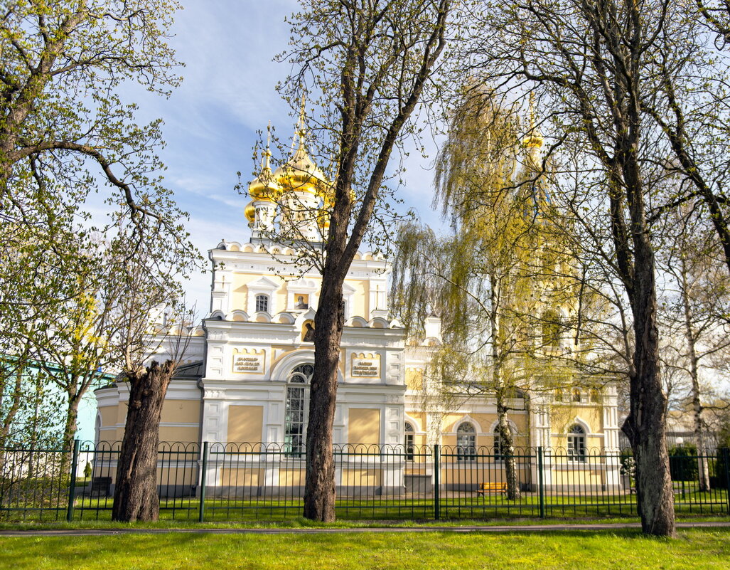 За забором - Roman Ilnytskyi