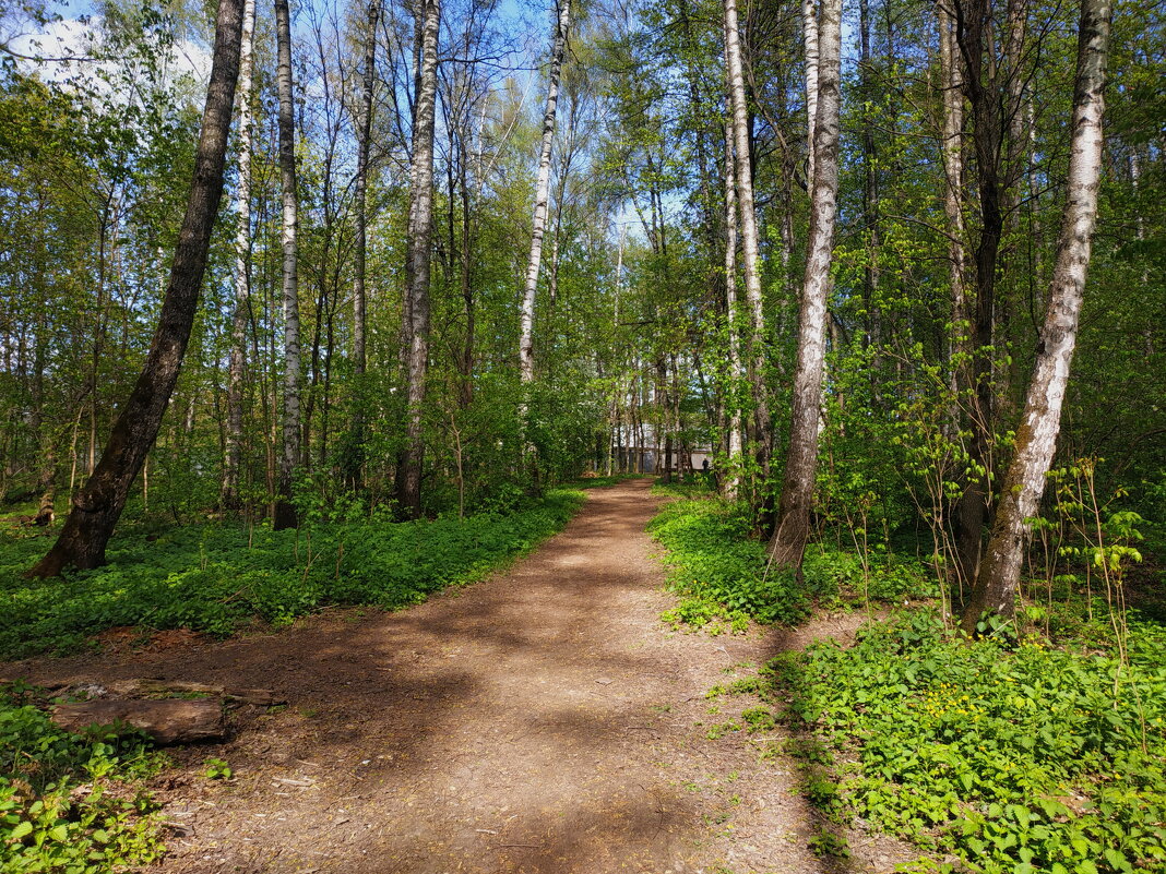 * * * - Андрей Лукьянов * * * - Андрей Лукьянов