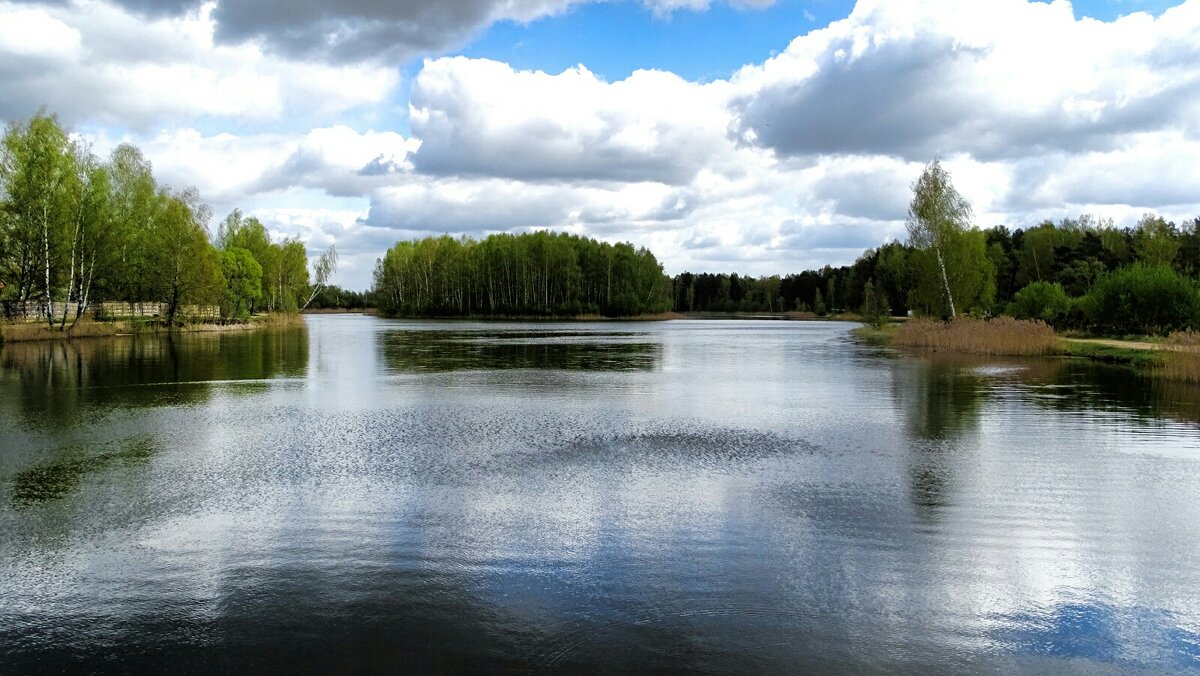 Моя Смоленщина - Милешкин Владимир Алексеевич Моя Смоленщина - Милешкин Владимир Алексеевич