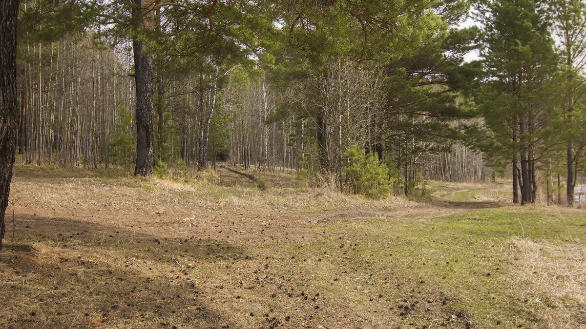 Как в сказке на развилке - Владимир Кириченко Как в сказке на развилке - Владимир Кириченко