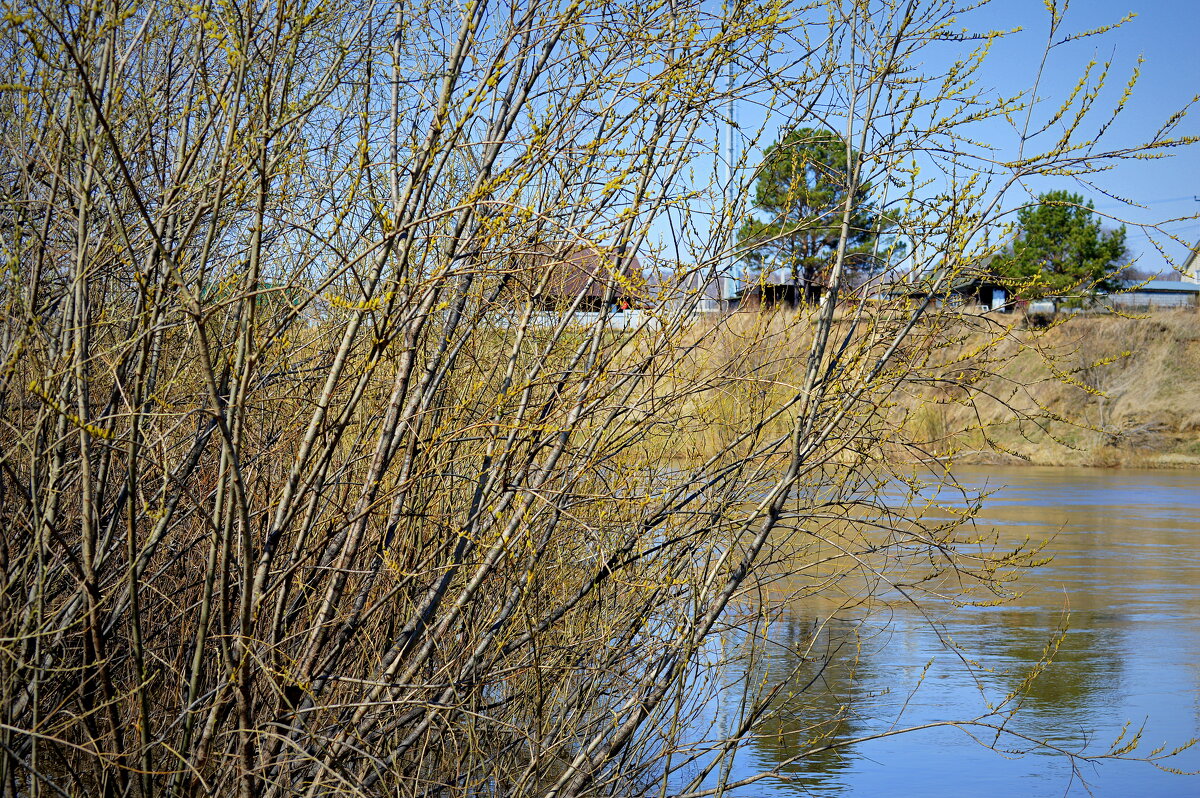 Дыханье апрельское) - Татьяна Лютаева