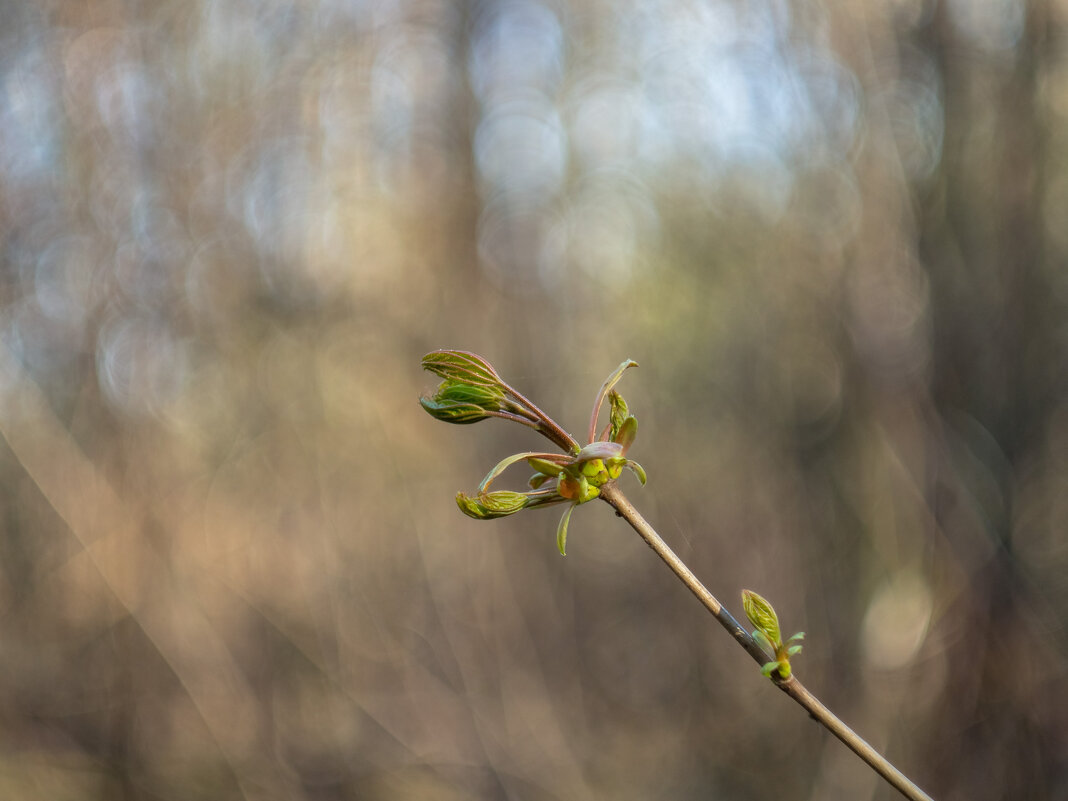 ___ - Yuriy V ___ - Yuriy V