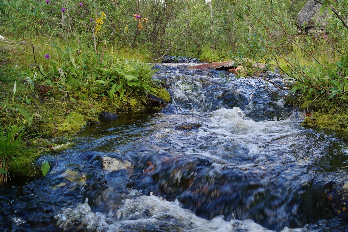 Бурный поток - Сергей Швечков