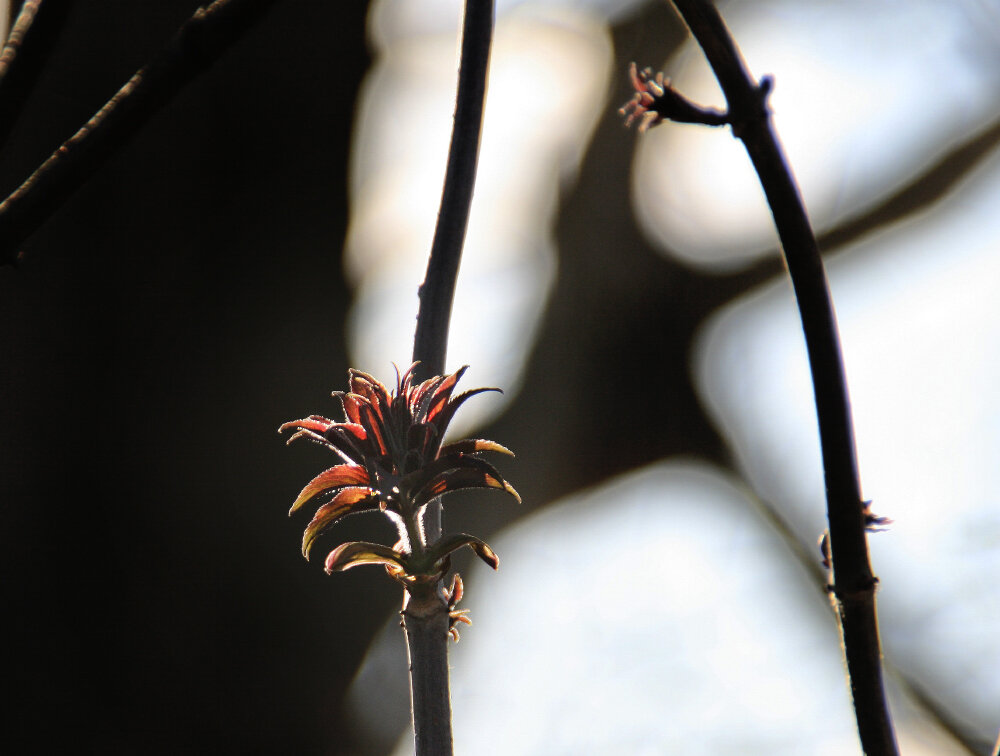 Пробуждение - Галина Ильясова Пробуждение - Галина Ильясова