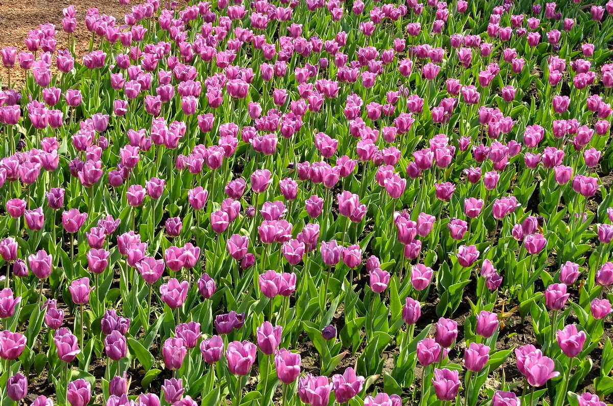 (°~°) - Фёдор Меркурьев (°~°) - Фёдор Меркурьев