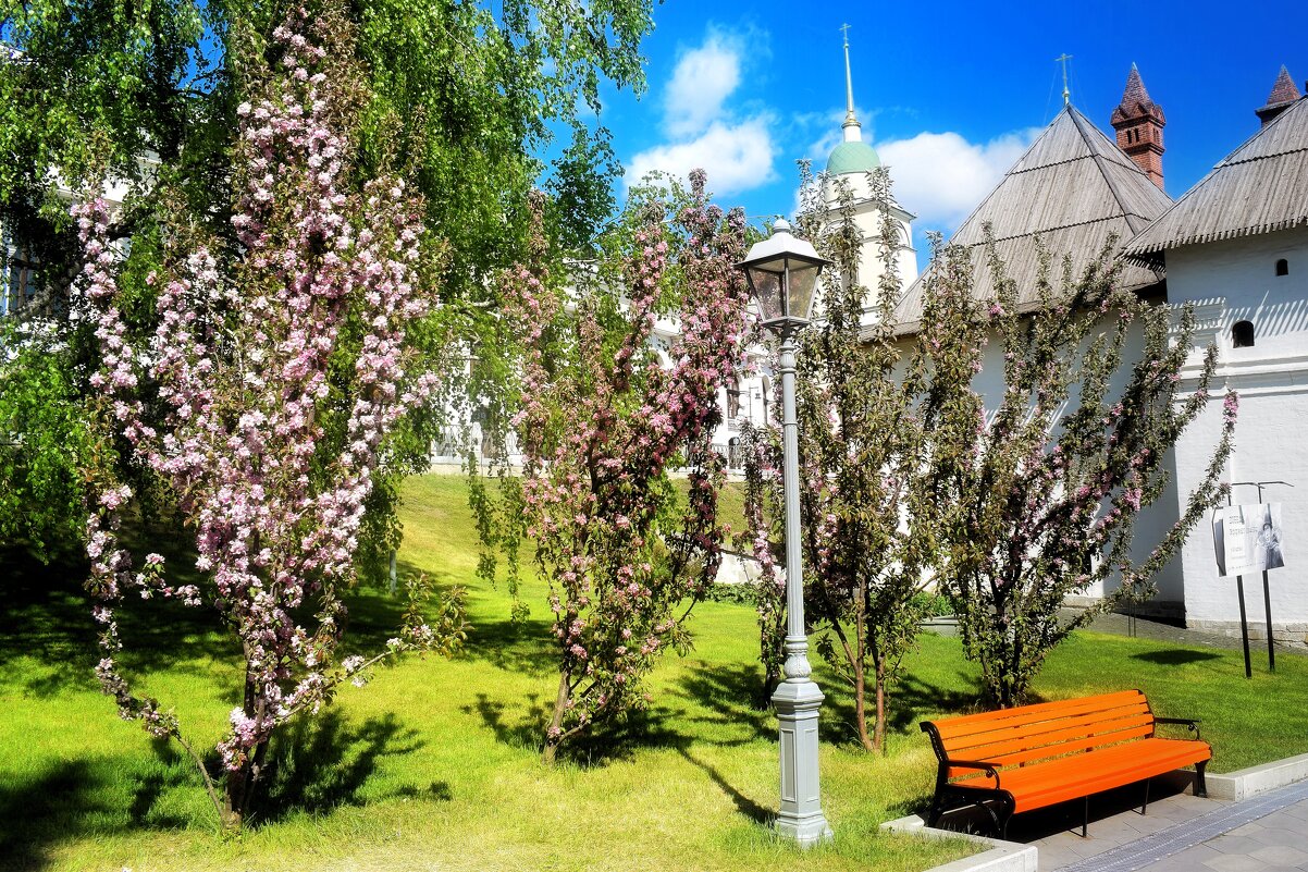 Колоновидные яблони зацвели в парке "Зарядье" - Татьяна Помогалова