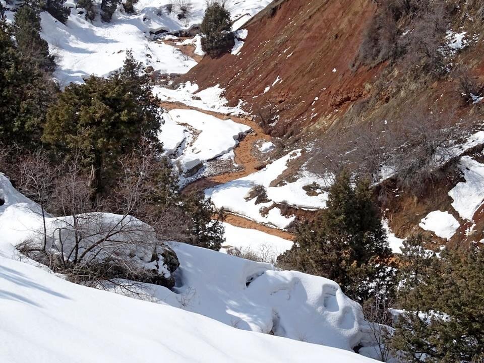 ВОСКРЕСНАЯ ПРОГУЛКА. - Виктор Осипчук
