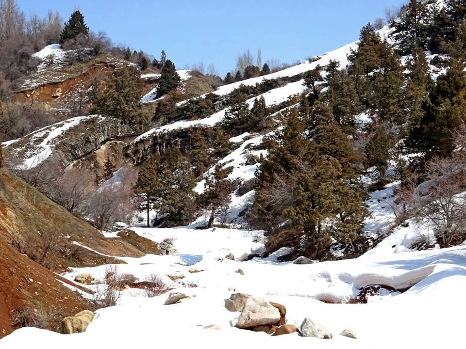 ВОСКРЕСНАЯ ПРОГУЛКА. - Виктор Осипчук ВОСКРЕСНАЯ ПРОГУЛКА. - Виктор Осипчук