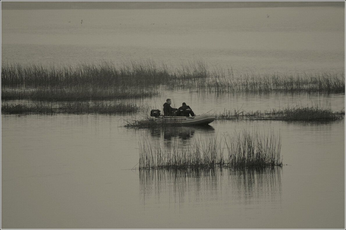 *** - Aleksandr Gal *** - Aleksandr Gal