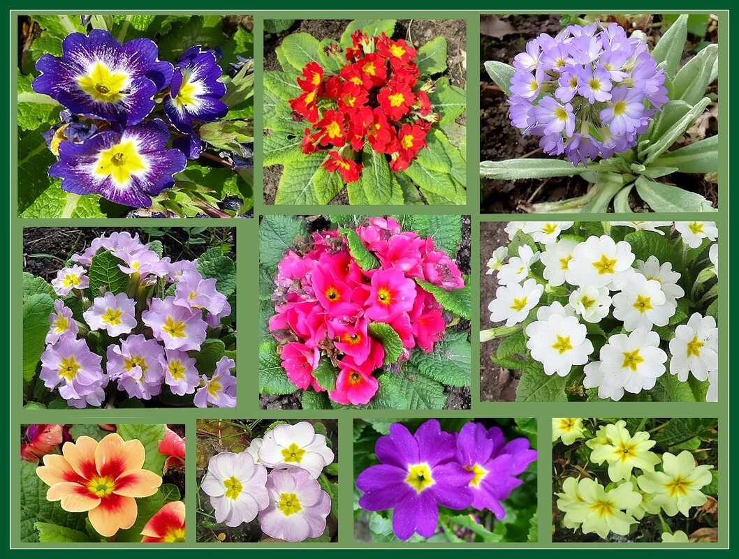 Ключи от весны. - Ольга Довженко