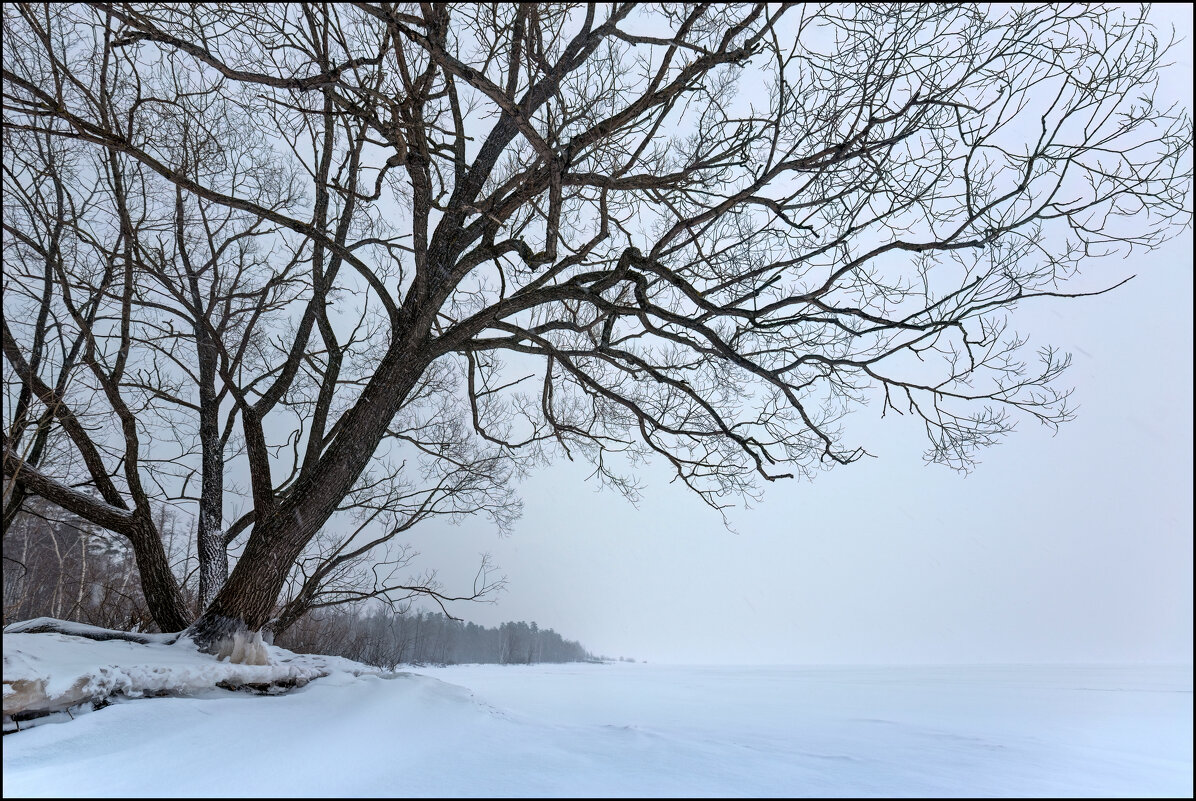 Волга - **** vedin