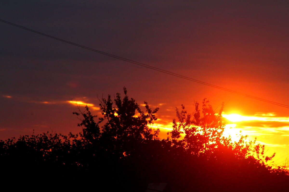 Кто рано встает - олег свирский 