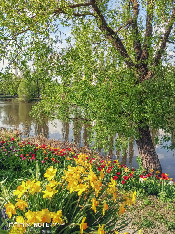 Цветочные берега - Игорь Сарапулов Цветочные берега - Игорь Сарапулов