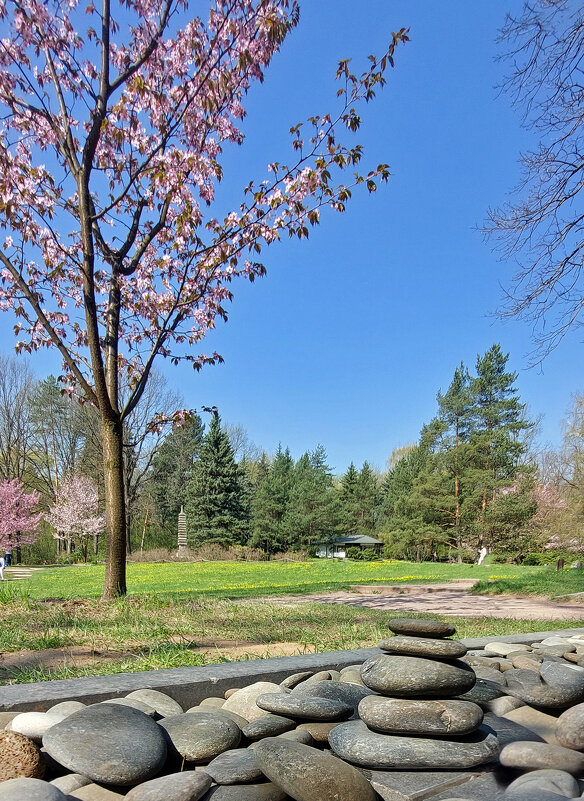 Ну как без камушков.. - ИРЭН@ . Ну как без камушков.. - ИРЭН@ .