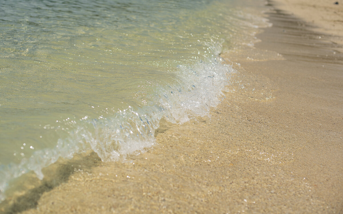 На берегу океана. - Михаил Соколов