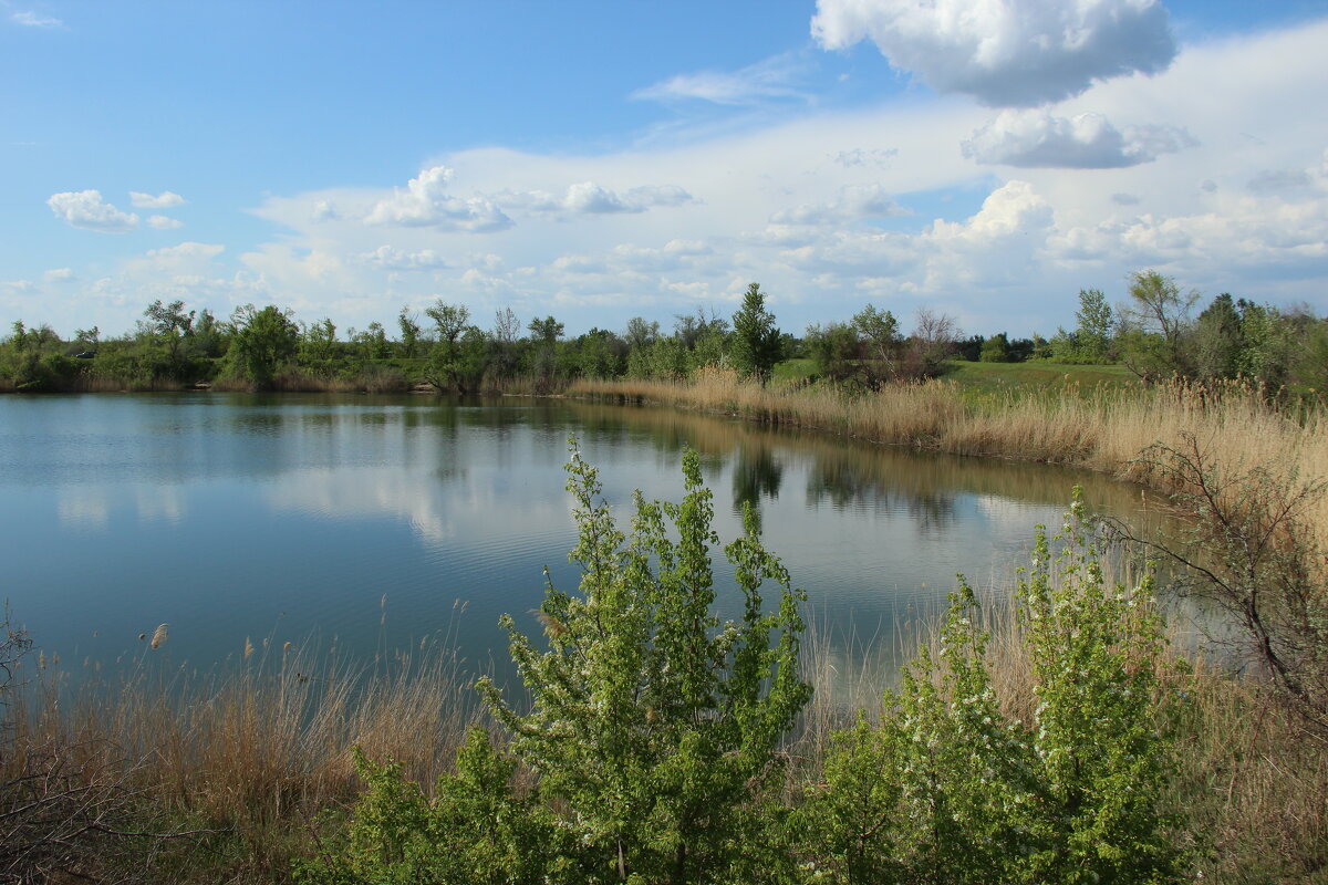 *** - Виктор *** - Виктор