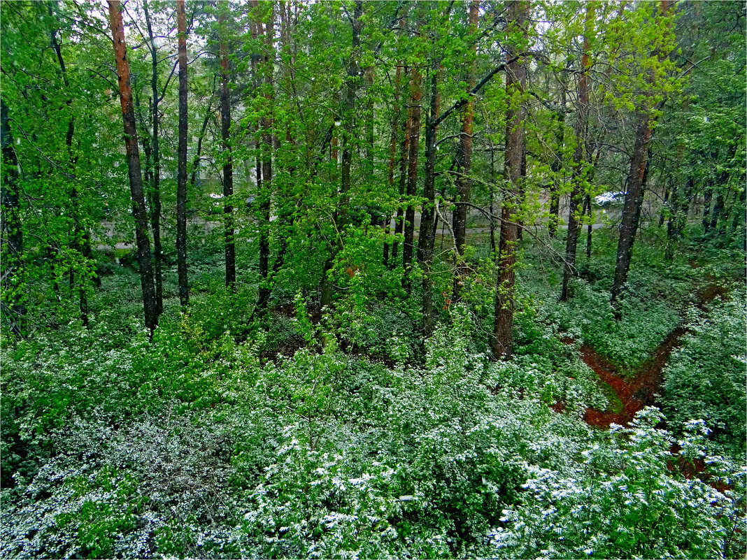 ВЕСНА - Юрий Владимирович 34 ВЕСНА - Юрий Владимирович 34