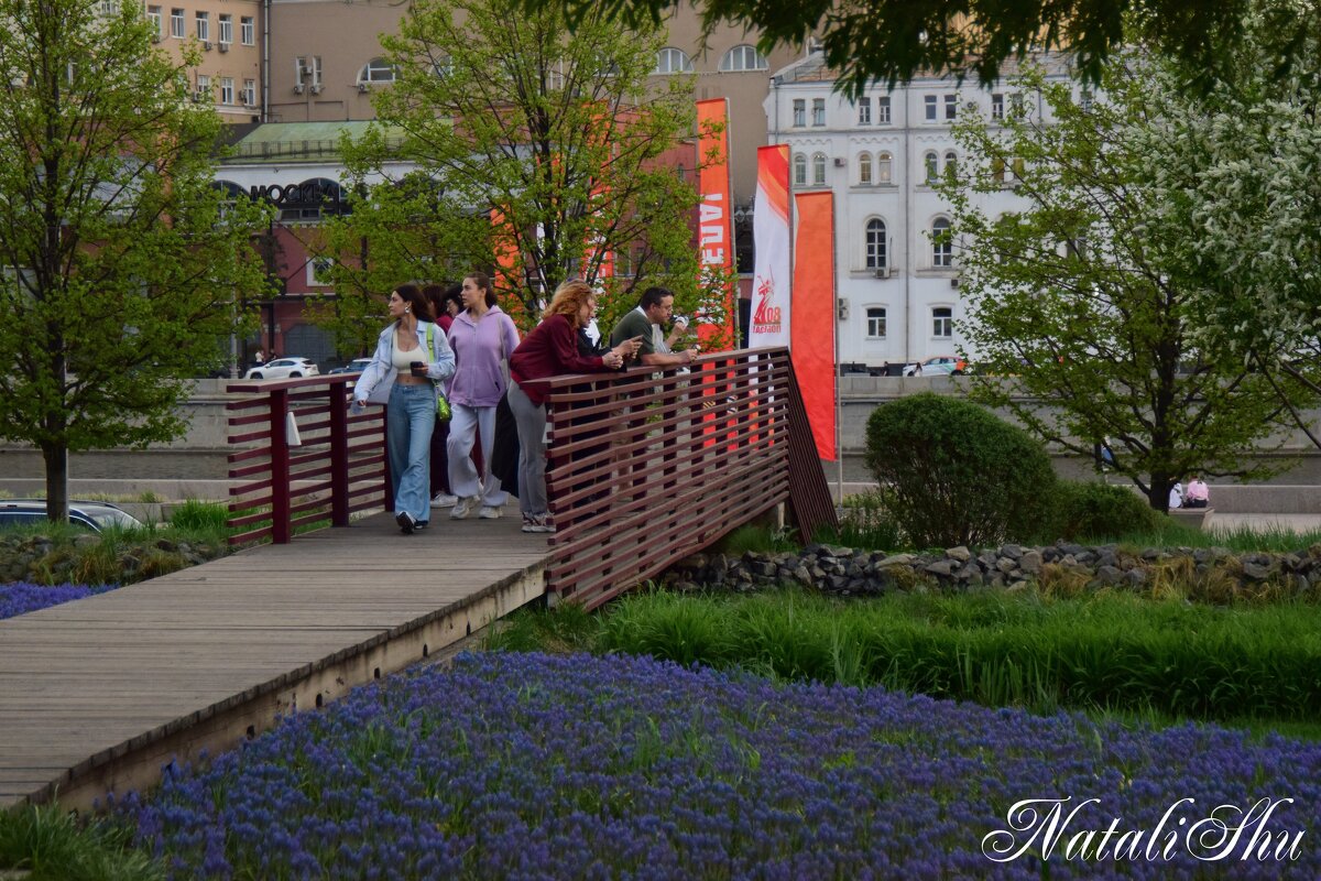 *** - Наталья Вязигина