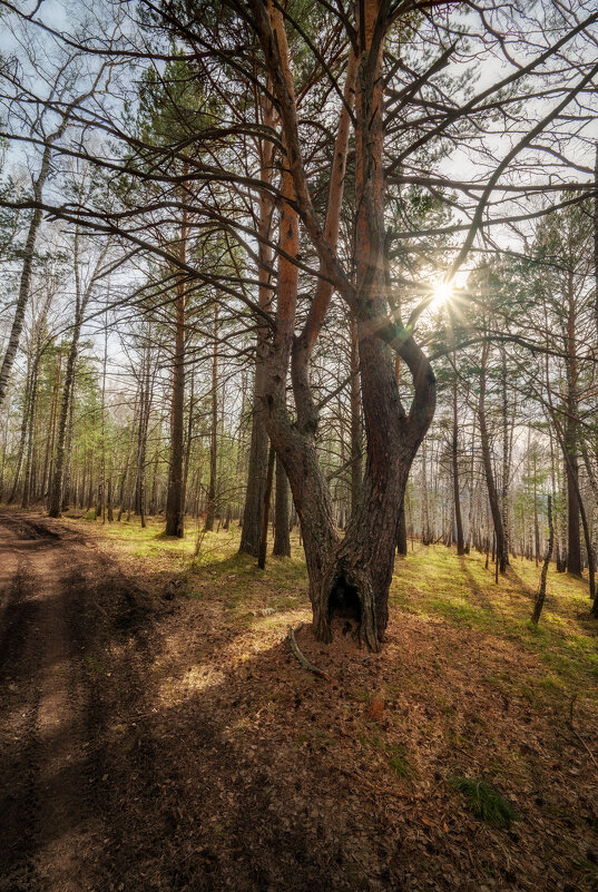 * - Александр Иванов * - Александр Иванов