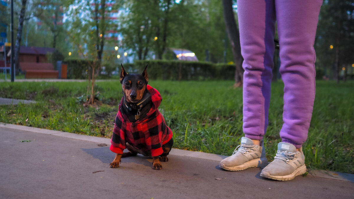 Кроха - юрий поляков