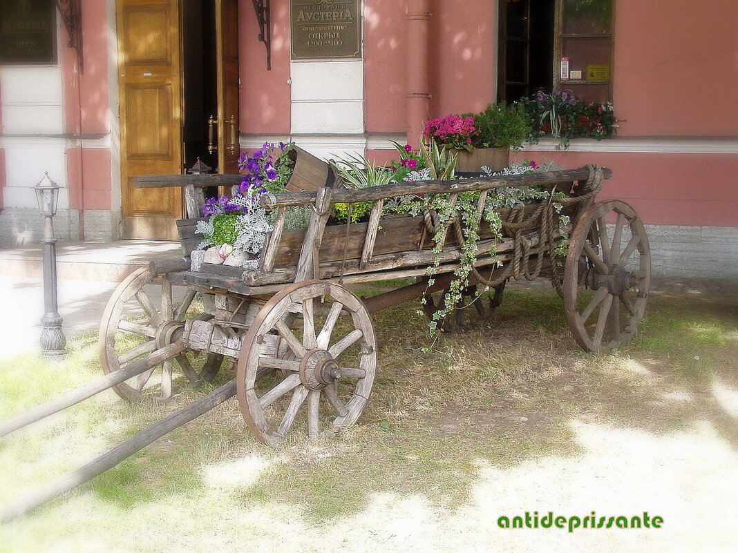 В Петропавловке...СПБ... - vadim В Петропавловке...СПБ... - vadim